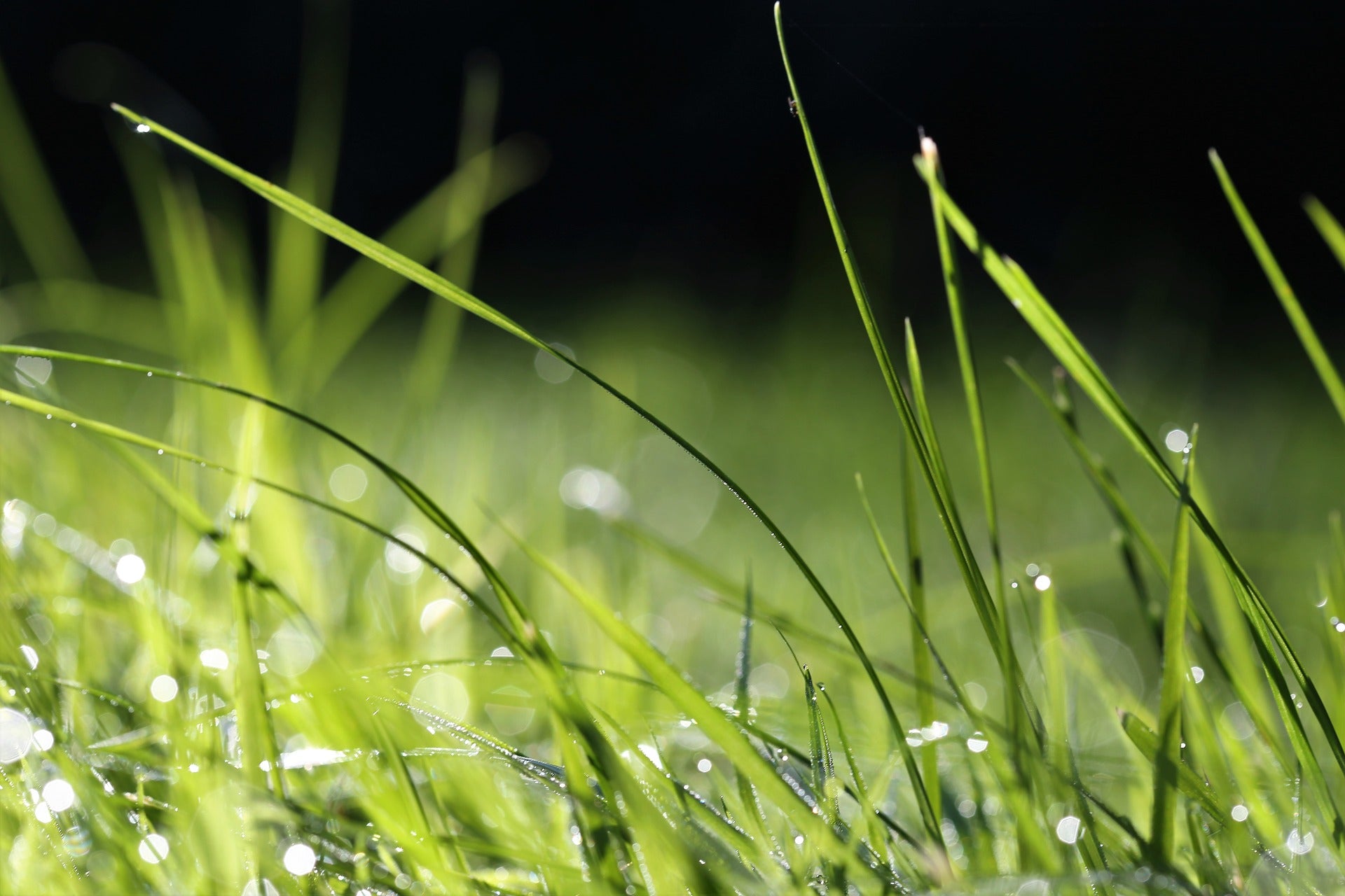 Urea – Intensivpflege für trockene und empfindliche Haut